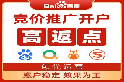 解析SEM推广代运营公司的成功案例及效果